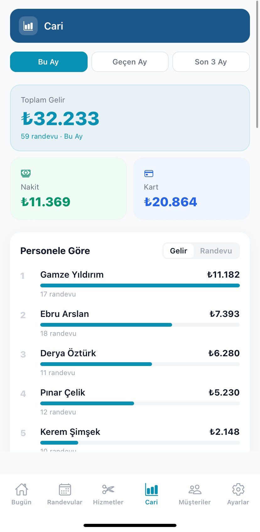 Cari ve gelir ekranı